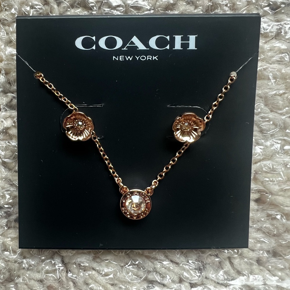 NWT Coach Rose gold earrings/necklace set